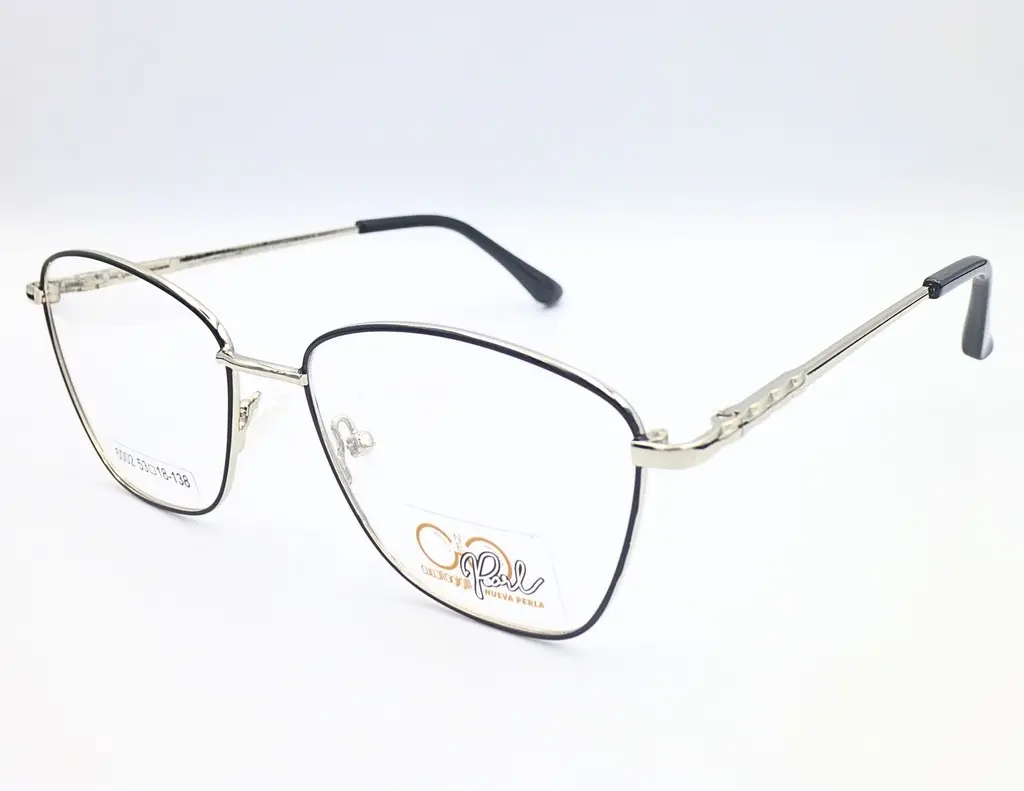 Montura Metalica 6002